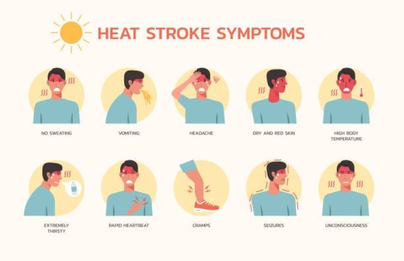 Heat Stress – Heat Related Illness :: Mmegi Online