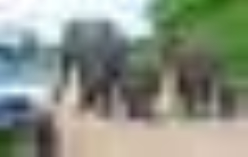 Gov't has no plans to cull elephants - Kereng - Vimarsana News