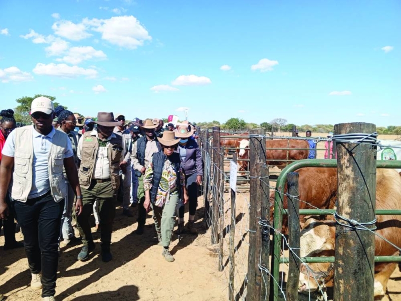 Inaugural Youth Livestock Farmer's Day marks new era :: Mmegi Online