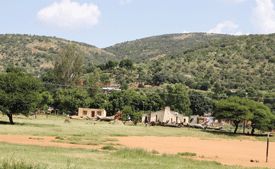 Peleng: The Heartbeat Of Lobatse :: Mmegi Online