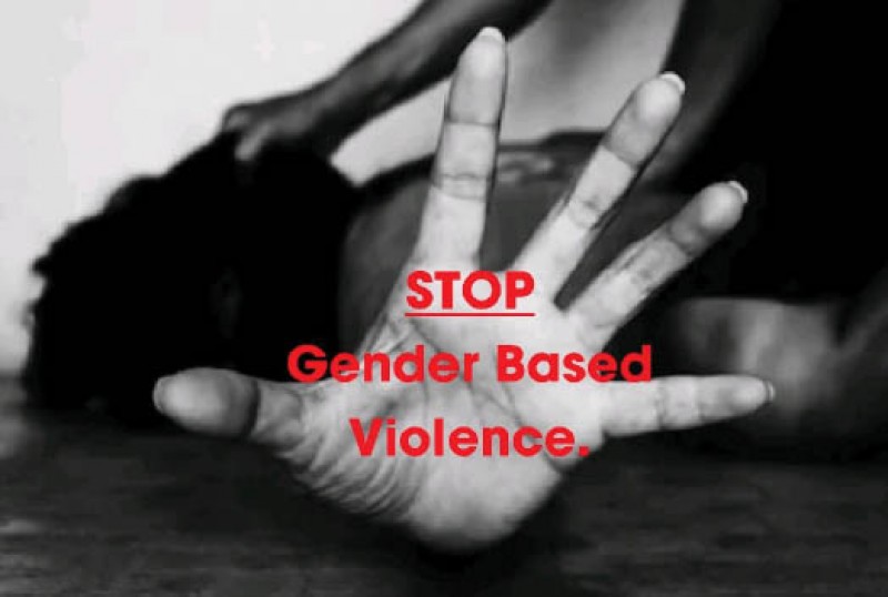 Addressing The Causes Of Gender Based Violence Mmegi Online